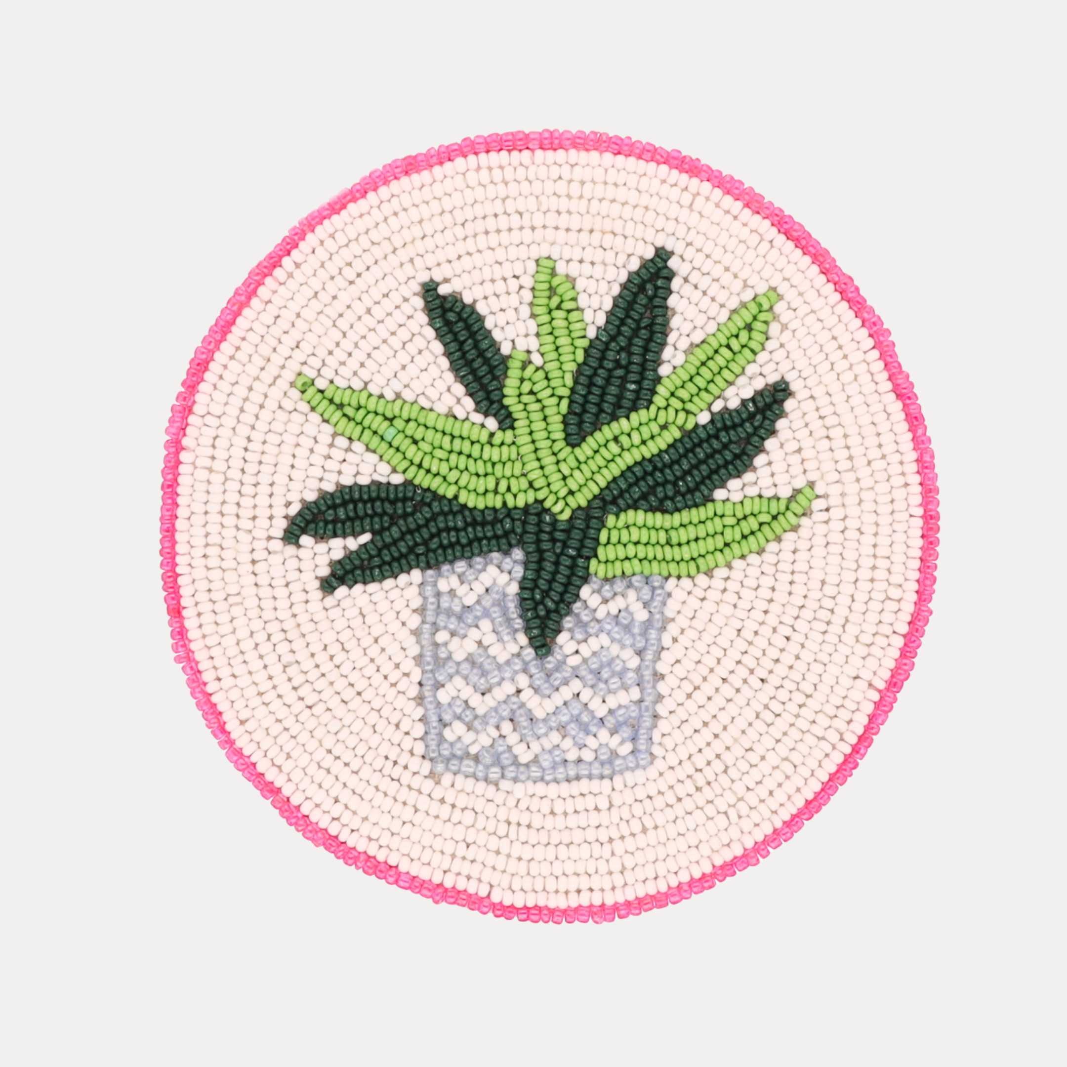 Succulent Coasters - Set of 4