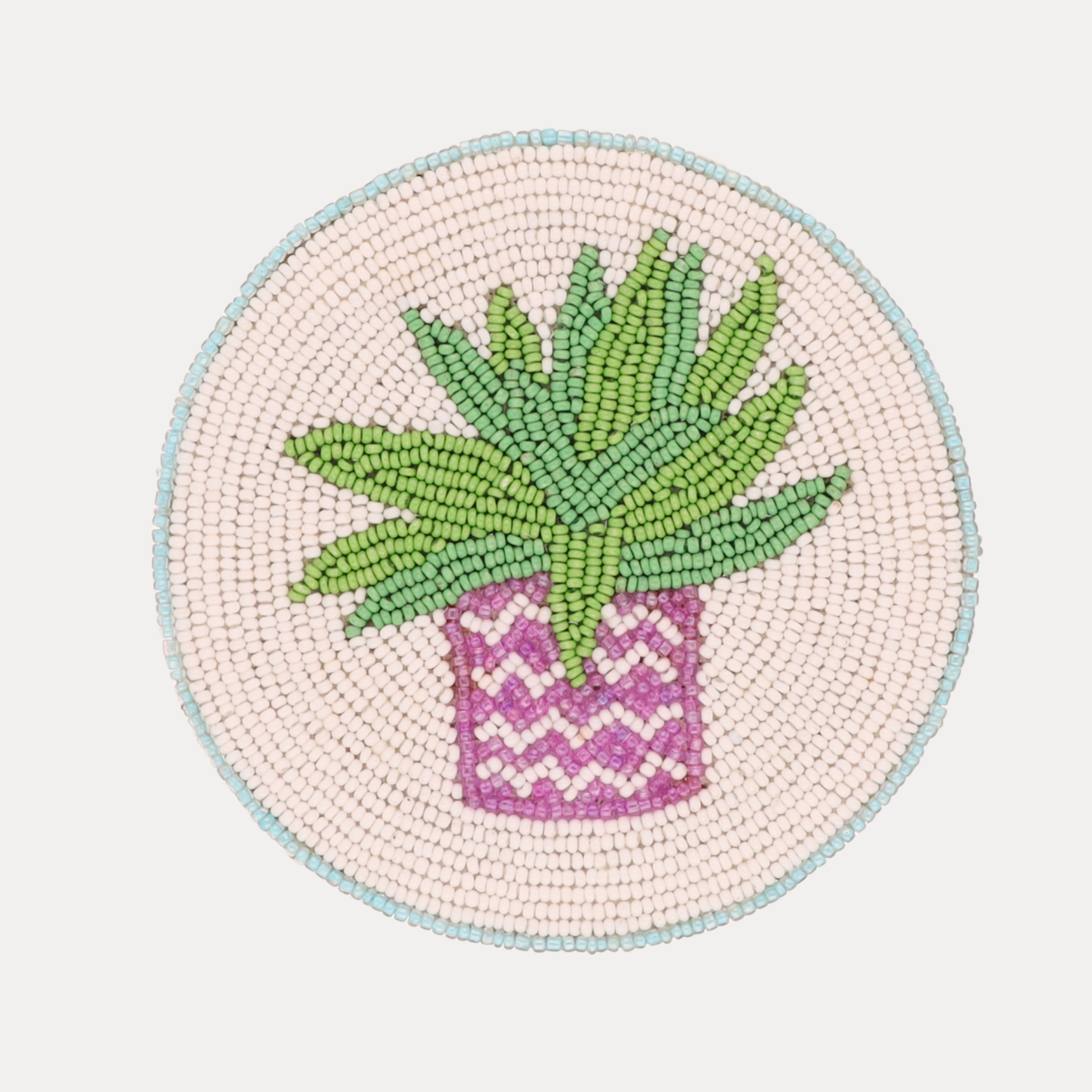 Succulent Coasters - Set of 4