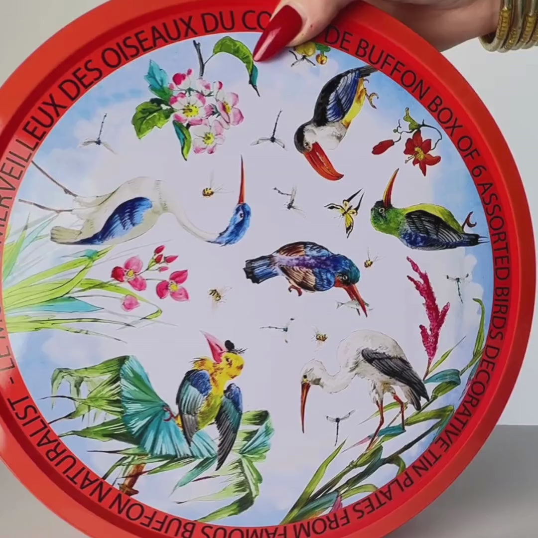 Au Bain Marie Bracquemond Tin Plates | French Country Decor | BuDhaGirl