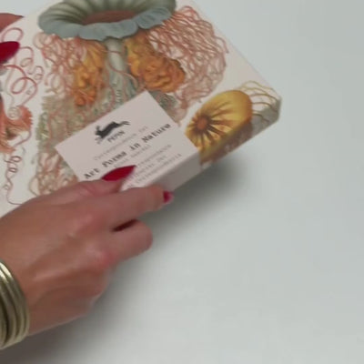 The Pepin Press Correspondence Set - Natural History | Shop at BuDhaGirl