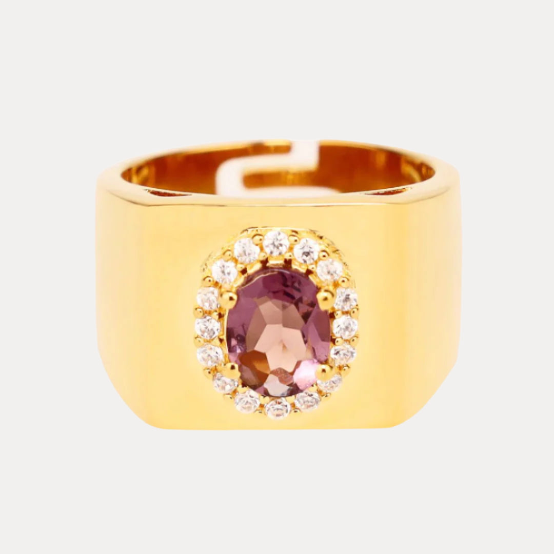 Amethyst/White Gold Plated Brass Adjustable Birthday/Birthstone Rings | BuDhaGirl